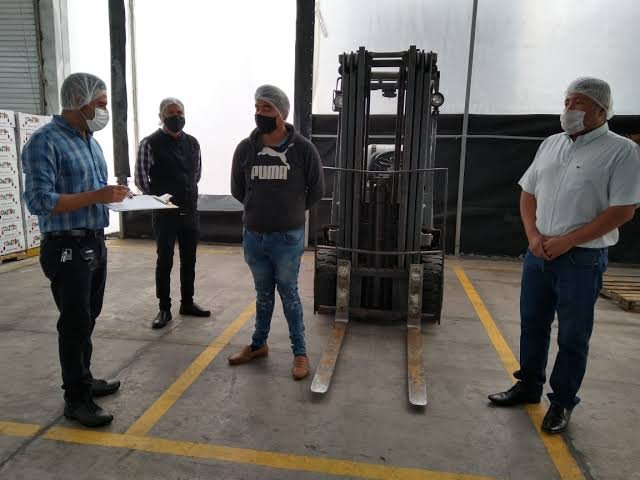 Jitomate de calidad